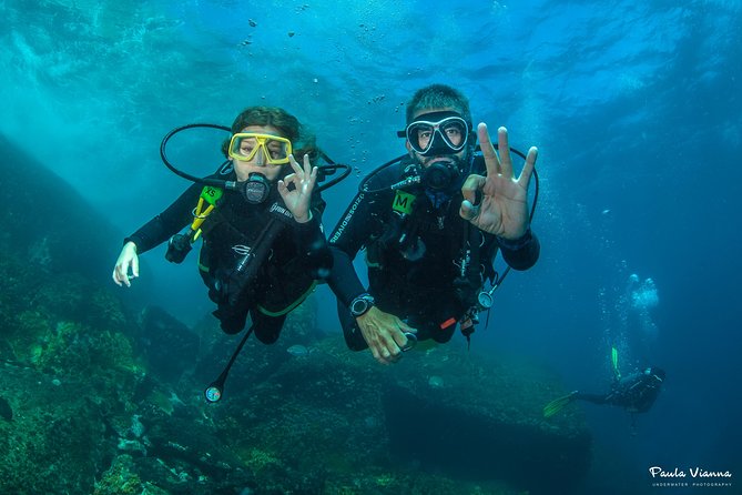 Diving for Beginners and Accredited - Búzios RJ - Key points to know before booking