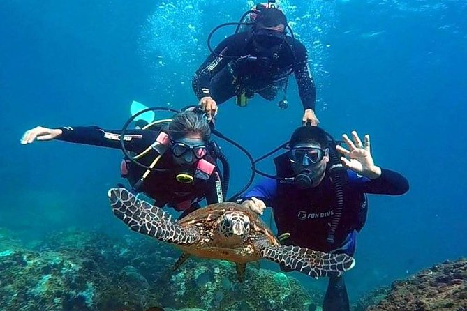 Diving for Beginners and Accredited - Búzios RJ - Why Âncora Island makes a good first underwater outing