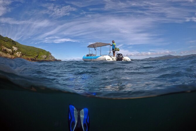 Diving with Turtles in Floripa - Key points to know before you book