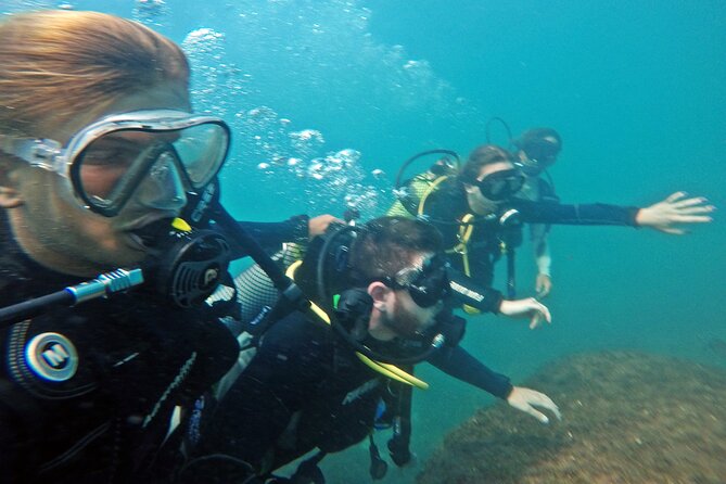 Diving with Turtles in Floripa - Turtles, fish, corals, and changing visibility