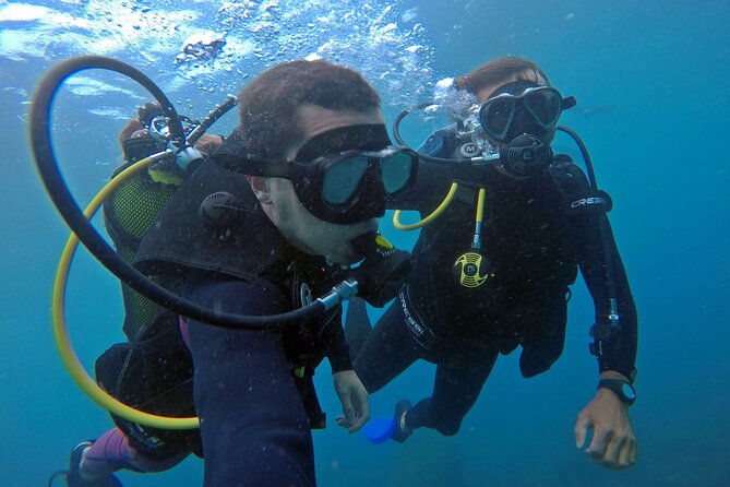 Diving with Turtles in Floripa - Snorkeling makes the trip work for mixed groups