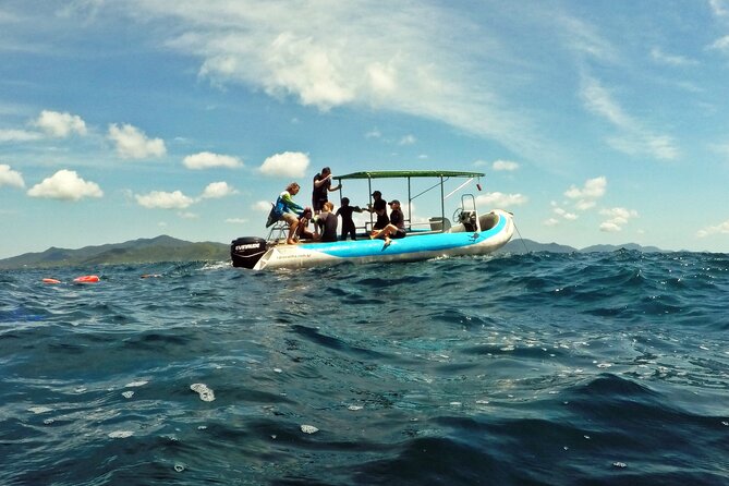 Diving with Turtles in Floripa - Eduardo, Sérgio, and the value of good supervision