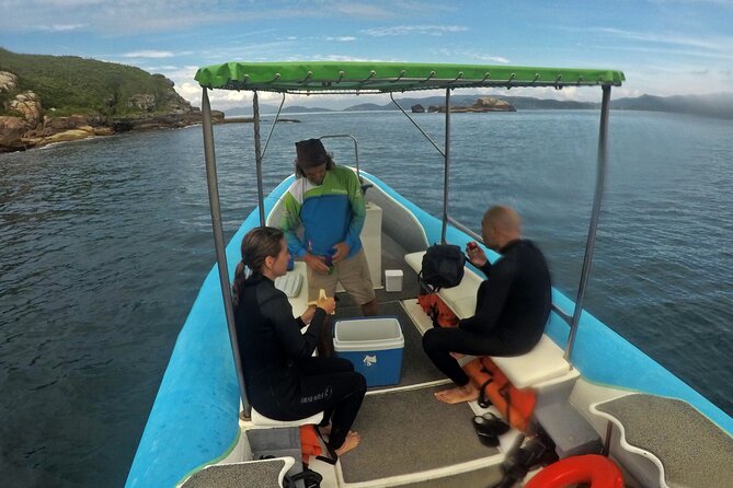 Diving with Turtles in Floripa - Is $97.82 a fair price?