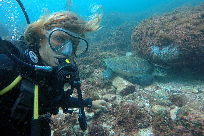 Diving with Turtles in Floripa - Barra da Lagoa Beach and the natural pools