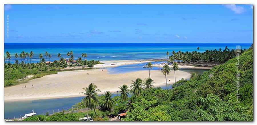 Duas Barras Beach & Marapé Dunes Full-Day Tour - Key points to know before you go