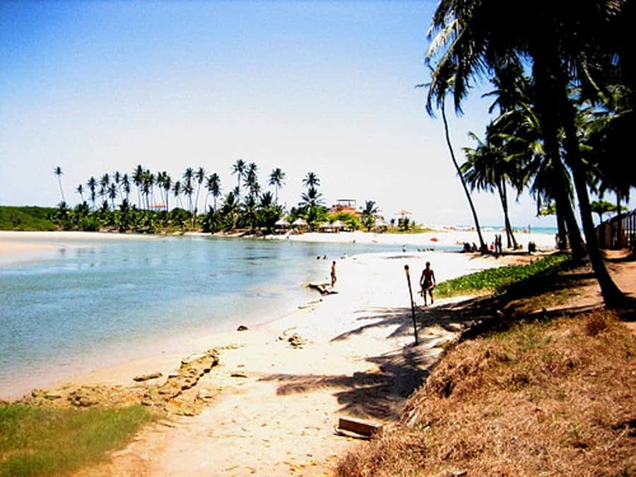 Duas Barras Beach & Marapé Dunes Full-Day Tour - Why this southern Alagoas day trip works