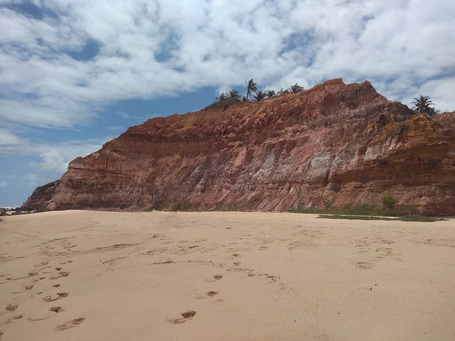 Duas Barras Beach & Marapé Dunes Full-Day Tour - The River Jequiá and its native monkeys