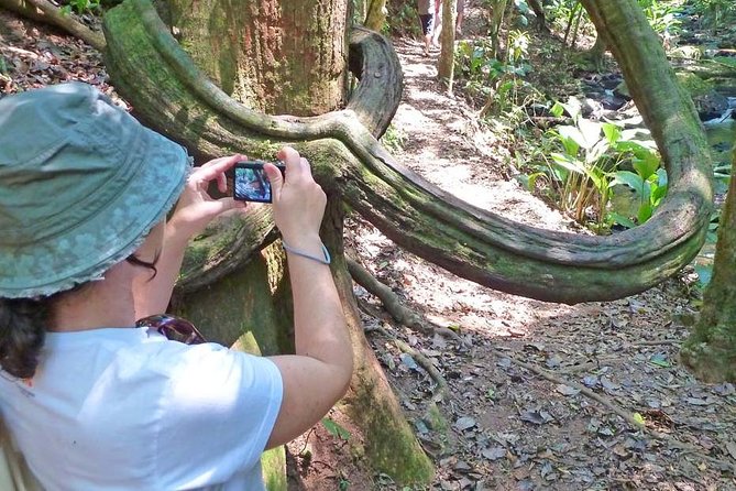 Ecological walk in sao paulo - What the $170 Price Really Covers