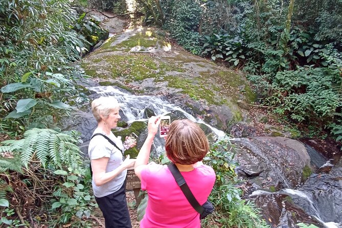 Ecological walk in sao paulo - Pedra Grande: Five Kilometers to São Paulo’s Best Forest View