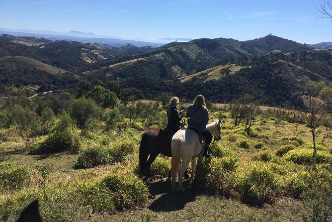 Exclusive Horse Experience with Pic-nic at Belvedere - Five things to know before you book