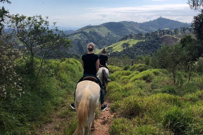 Exclusive Horse Experience with Pic-nic at Belvedere - From Paraty to the high country of Serra da Bocaina