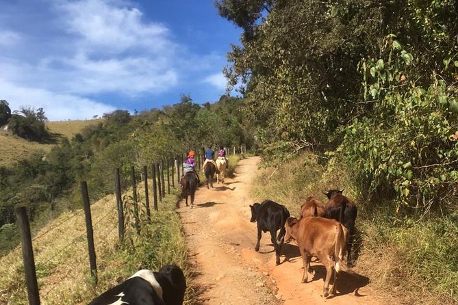 Exclusive Horse Experience with Pic-nic at Belvedere - Practical preparation for a comfortable ride