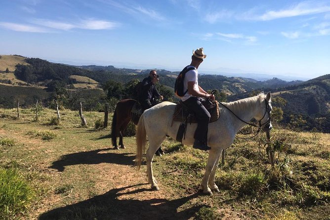 Exclusive Horse Experience with Pic-nic at Belvedere - Meeting the horses and learning the basics