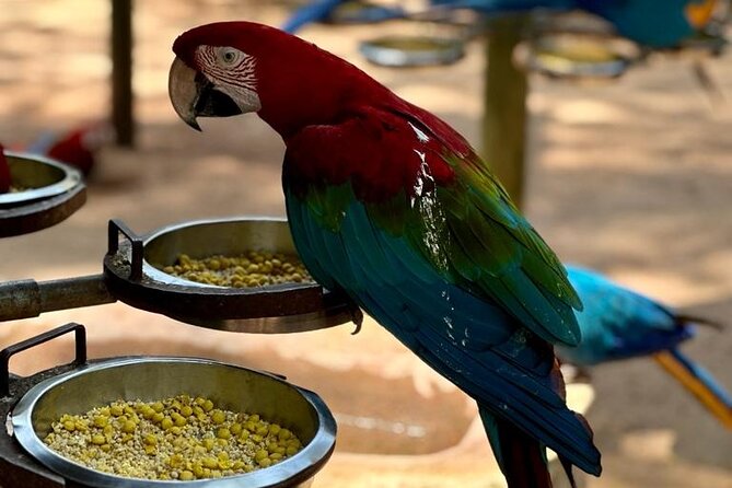 Excursion to the Brazilian Falls, Bird Park and Itaipu Plant - Is the $147.02 price a good value?
