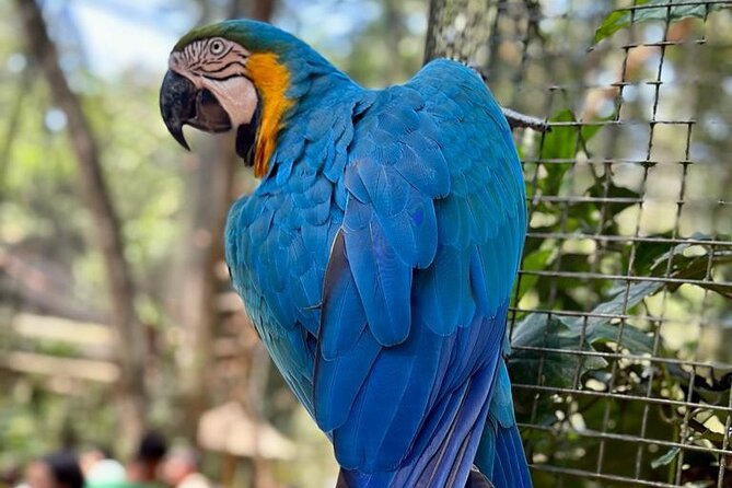 Excursion to the Brazilian Falls, Bird Park and Itaipu Plant - Timing, comfort, and small practical matters