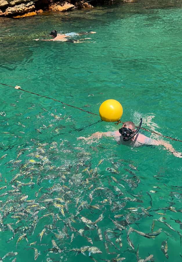 Experience Paradise Ilha Grande in a Speedboat Private - Why Ilha Grande works so well by private speedboat
