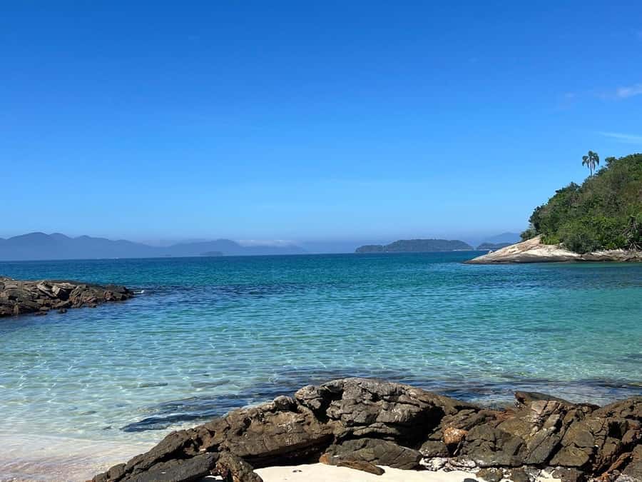 Experience Paradise Ilha Grande in a Speedboat Private - Choosing between seafood lunch and barbecue on deck