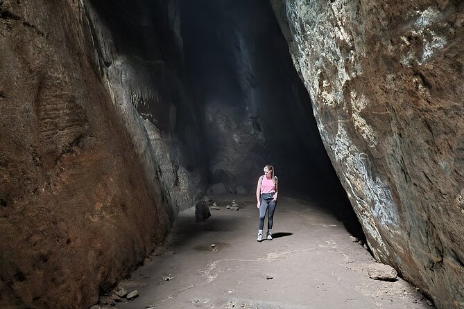 Explore the Best of Tijuca Forest – Hike to Peaks, Caves & Falls - Wildlife: keep your eyes open