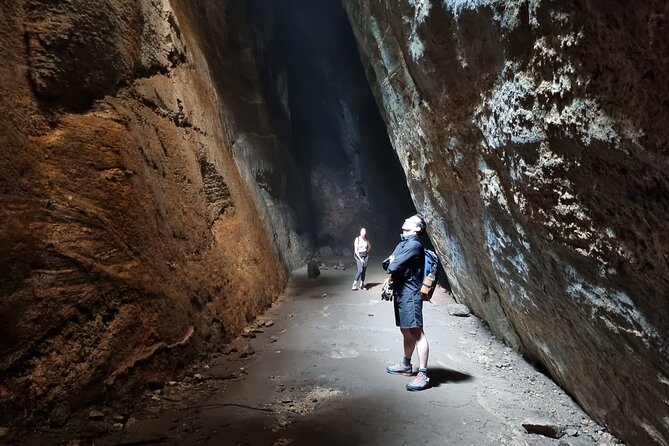 Explore the Best of Tijuca Forest – Hike to Peaks, Caves & Falls - Tijuca National Park, Rio’s forest escape