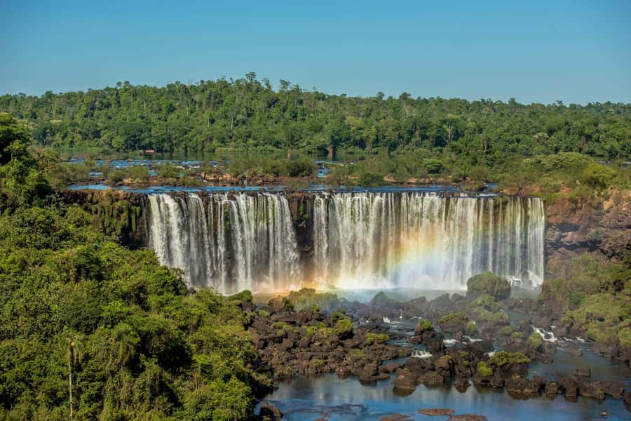 Explore the Falls, Bird Park and Macuco Safari - Key points to know before you book