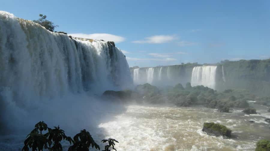 Explore the Falls, Bird Park and Macuco Safari - Parque das Aves brings you close to native birds