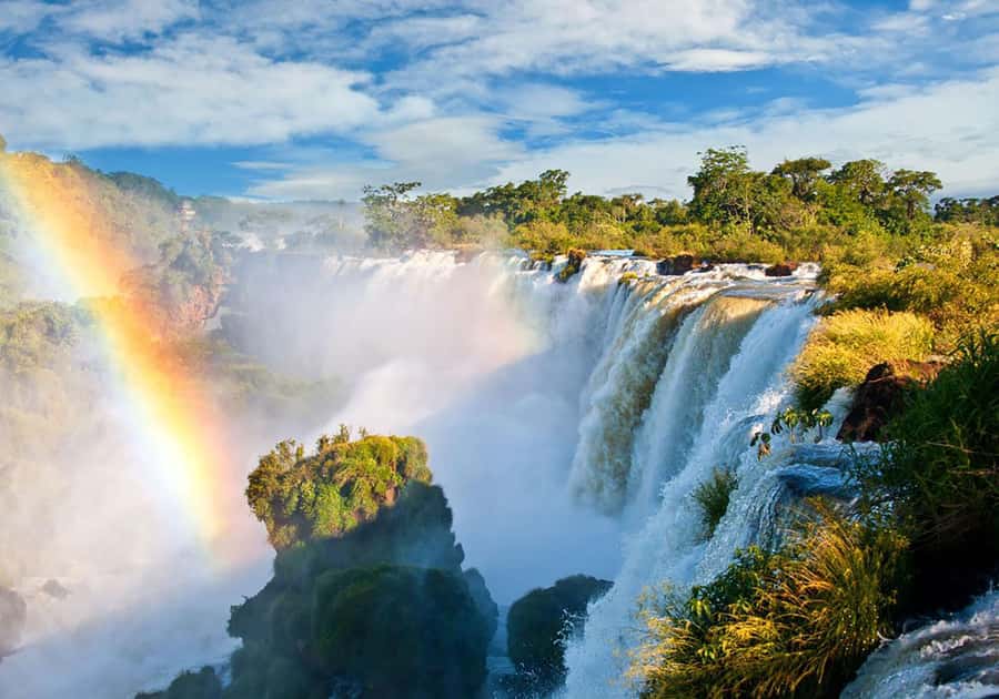 Explore the Falls, Bird Park and Macuco Safari - Pickup from Foz do Iguaçu