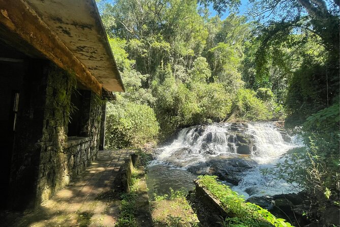 Explore Trails in the Atlantic Forest at the Brazilian Falls - Key points at a glance