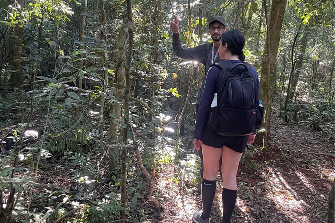 Explore Trails in the Atlantic Forest at the Brazilian Falls - Who will get the most from this walk?