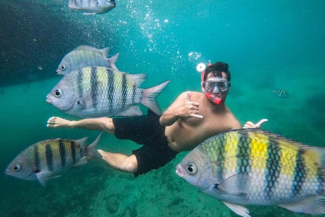 Exploring Angra Dos Reis and Ilha Grande in One Day - Freguesia de Santana, a calm first swim