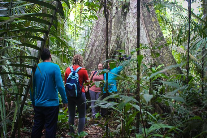 Exploring The Amazon 3D/2N At Amazon Peacock Paradise Ecolodge - How much free time should you expect?