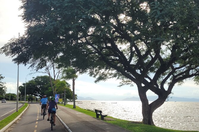 Florianopolis Bike Tour: Photography, History & Street Food - Isaac’s Guiding Style and the Small Group