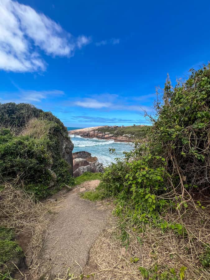 Florianopolis: Gravata Beach Trail with Picnic - Key things to know before you go
