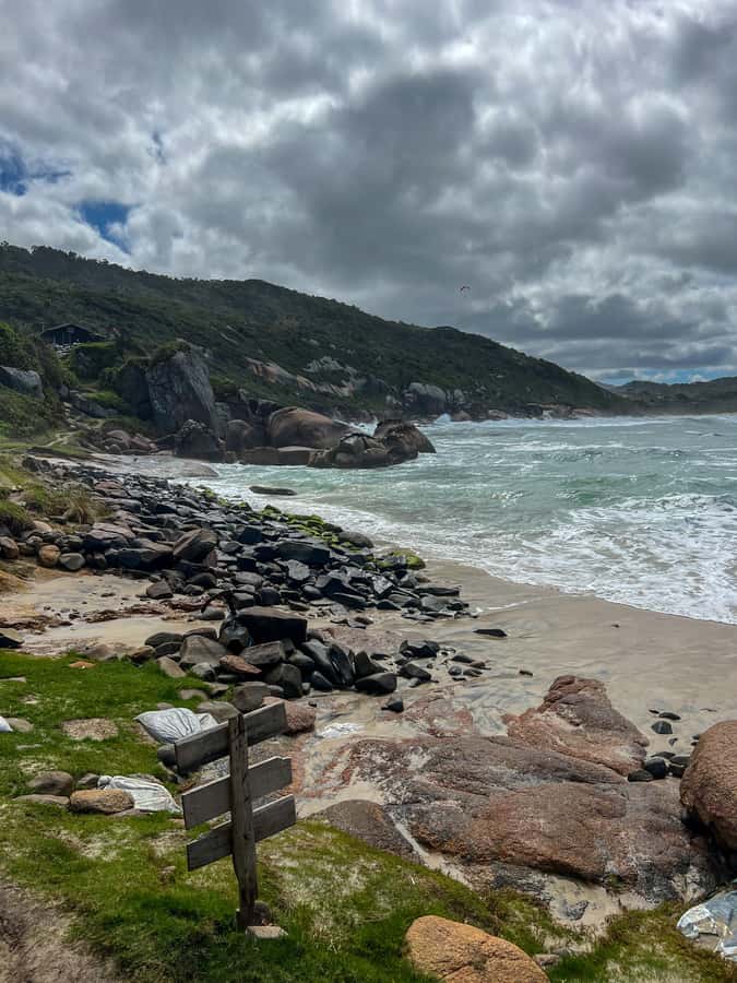 Florianopolis: Gravata Beach Trail with Picnic - Walking through Florianopolis’ Atlantic Forest