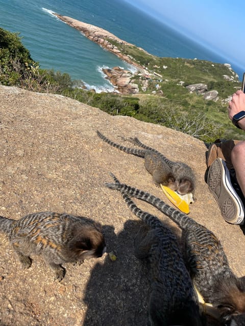 Florianopolis: Gravata Beach Trail with Picnic - What the $36 price really covers