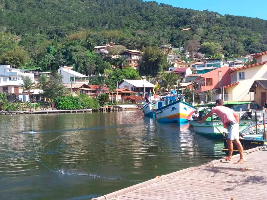 Florianópolis: Historical Center, Beach & Nature Tour - Praça XV, the cathedral, and Florianópolis’ old center