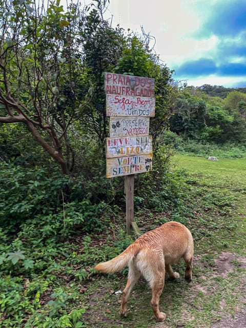 Florianópolis: South Naufragados Trail - How the six-hour schedule works