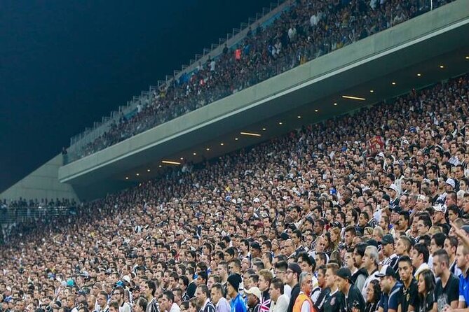 Football Match in São Paulo – Stadium Ticket, Transport & Guide - Who will enjoy this match-day outing most