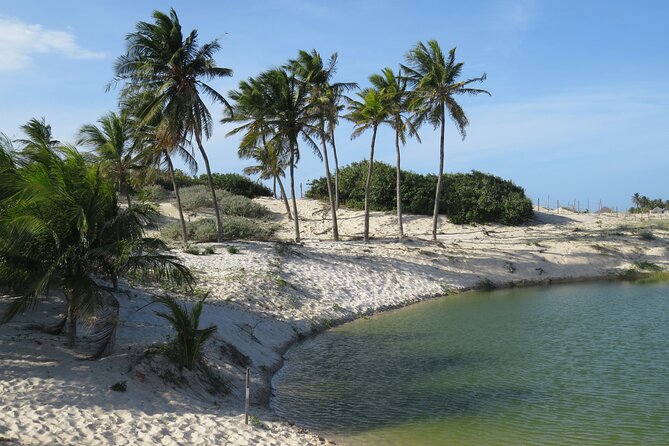 Fortaleza Private Walking Tour with a Local - Cruise timing and cancellation details