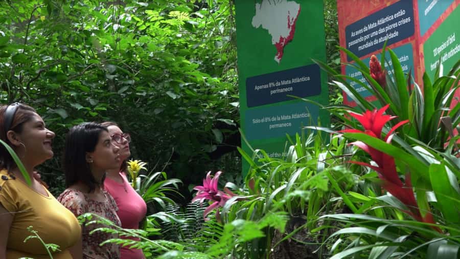 Foz do Iguaçu: Bird Park Tour with Tickets - Is this a guided tour or a self-guided park visit?