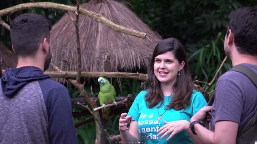 Foz do Iguaçu: Bird Park Tour with Tickets - A good fit for families, bird lovers, and short schedules