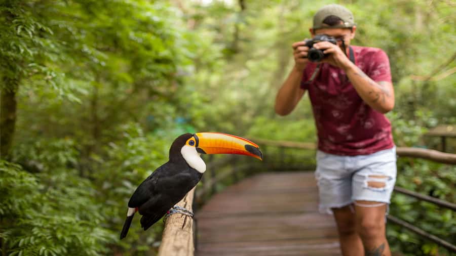 Foz do Iguaçu: Brazilian Side of the Falls + Bird Park - The panoramic elevator and Devil’s Throat platform