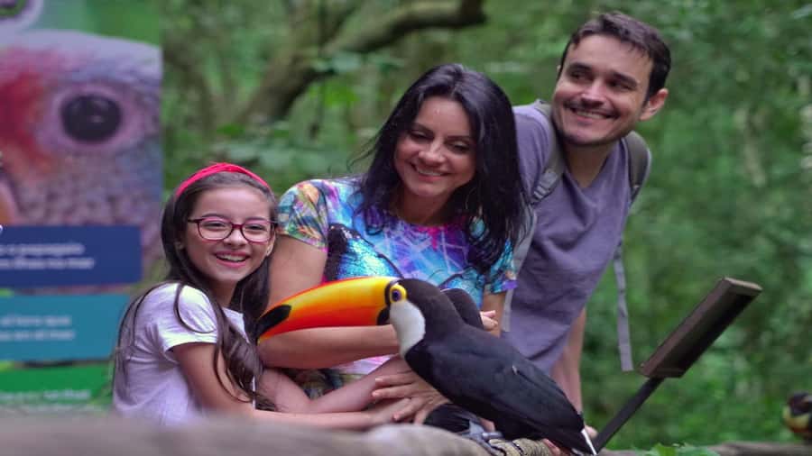 Foz do Iguaçu: Brazilian Side of the Falls + Bird Park - Booking details worth knowing