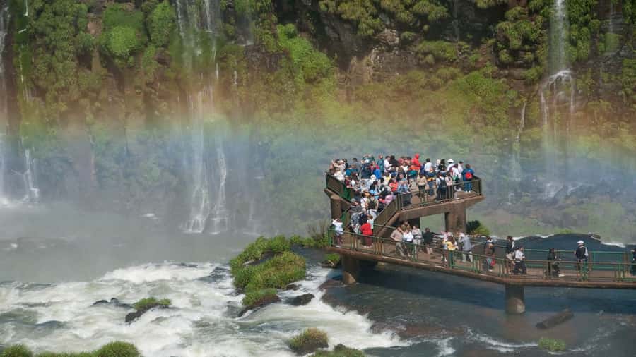 Foz do Iguaçu: Brazilian Side of the Falls + Bird Park - The Bird Park: a colorful first stop