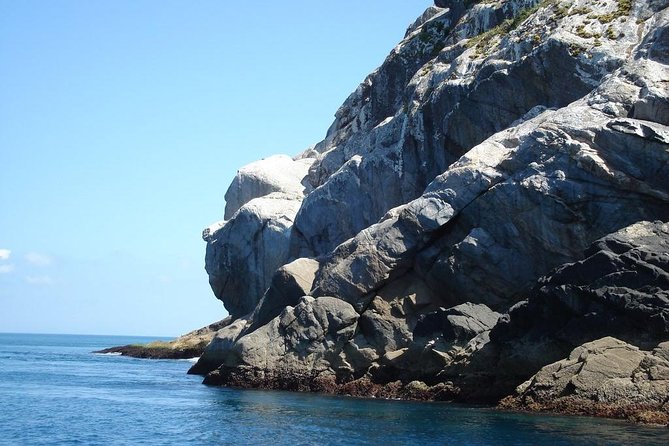 From Búzios to Arraial on a Private Tour! - Farol Beach gives you the best swim window