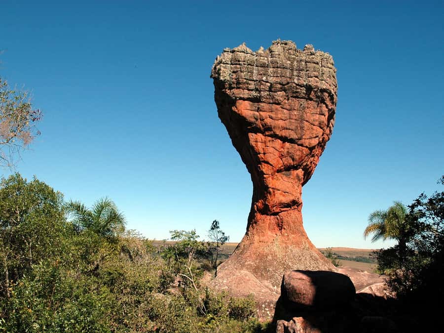From Curitiba: Vila Velha State Park Full-Day Group Tour - How much value is in the $200 price?