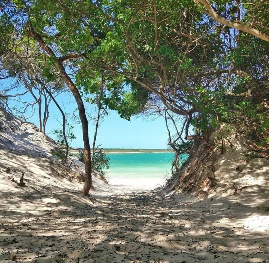 From Fortaleza: Day Trip to Jericoacoara - The Long Return To Fortaleza