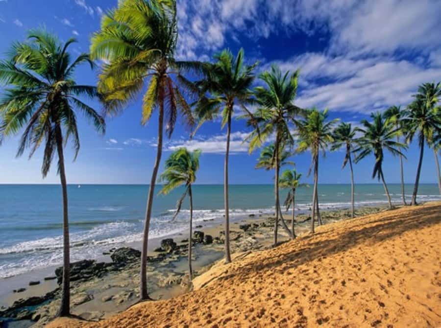From Fortaleza: Lagoinha Beach Day Trip - Key points to know before booking