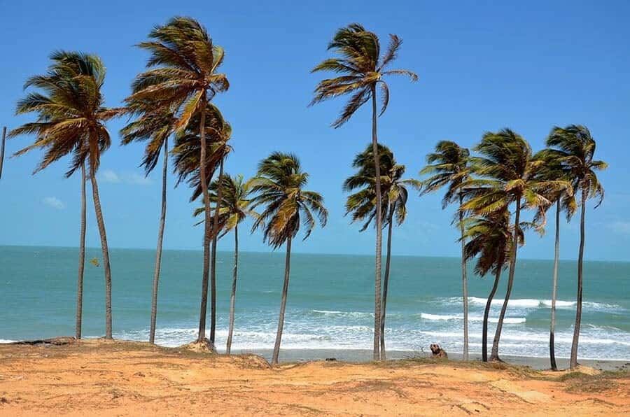 From Fortaleza: Lagoinha Beach Day Trip - The viewpoint above the beach