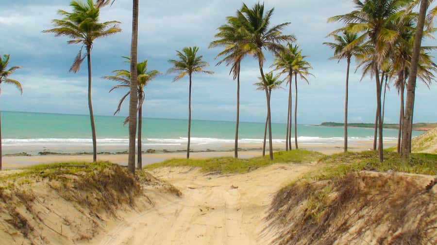 From Fortaleza: Lagoinha Beach Day Trip - The early pickup from Fortaleza