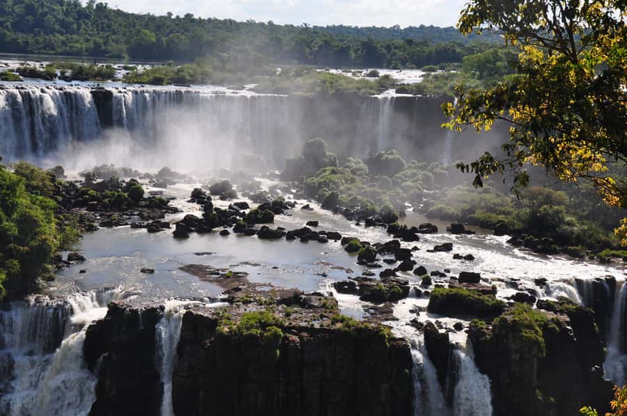 From Foz do Iguaçu: Brazilian Falls and Bird Park Tour - Key points at a glance